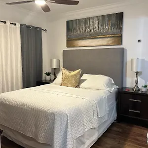 Citrus Park Tampa